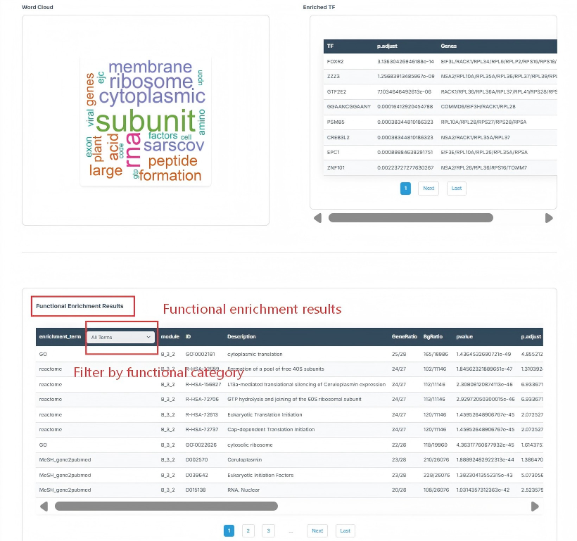 Module Page Tutorial