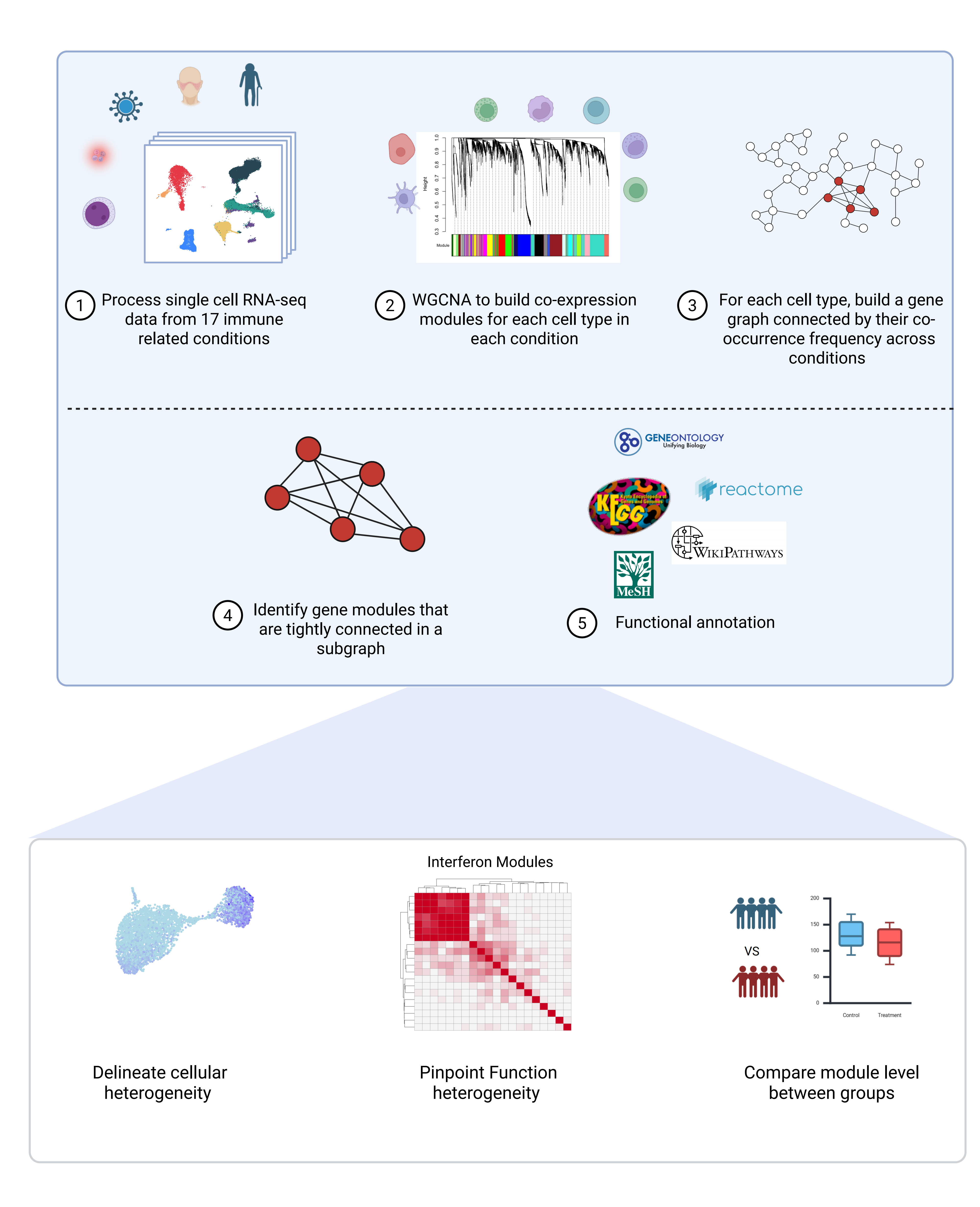scImmuneCo Overview