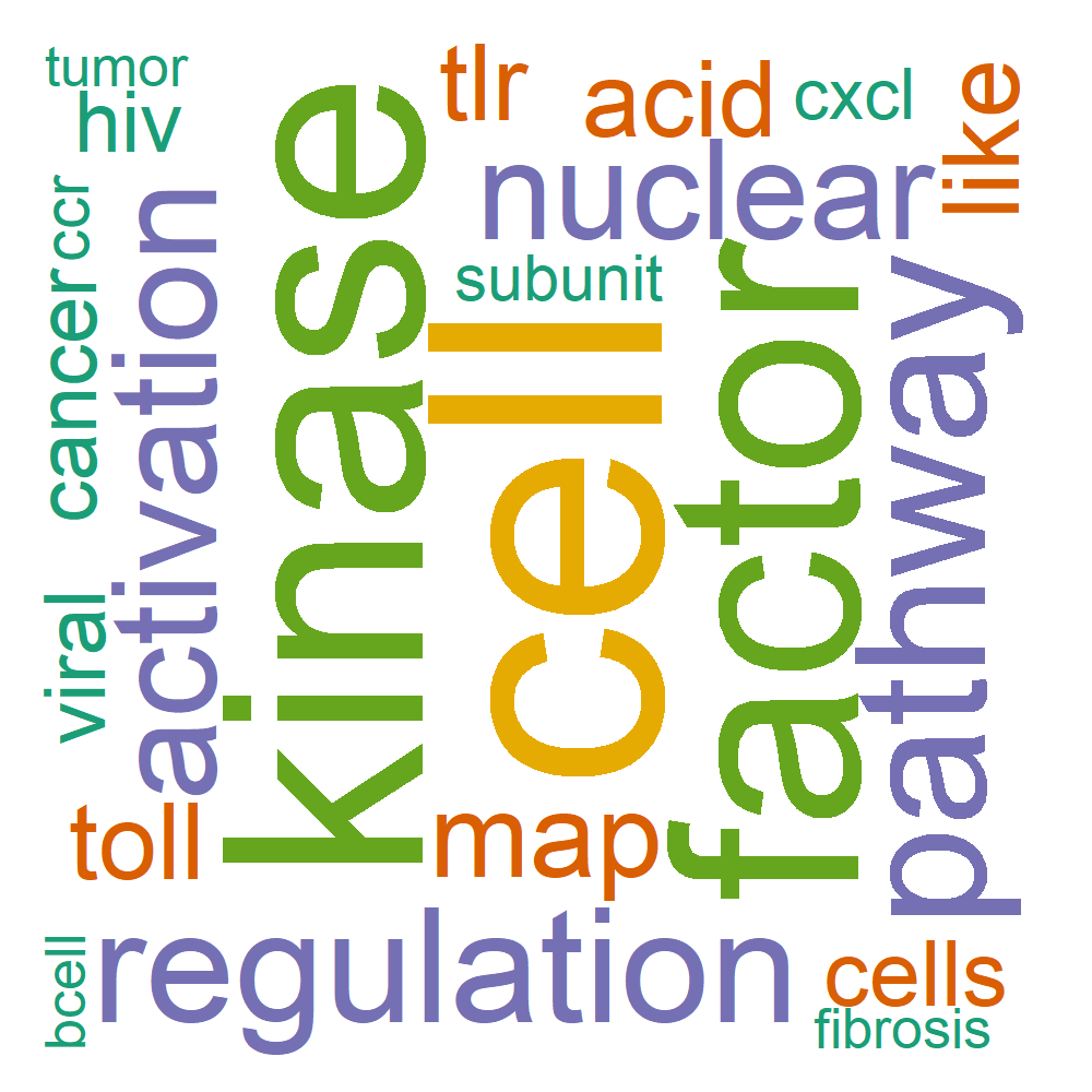 Wordcloud for B_10_10