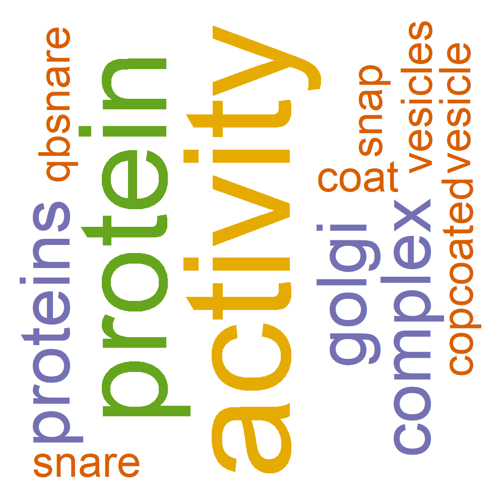 Wordcloud for B_10_13