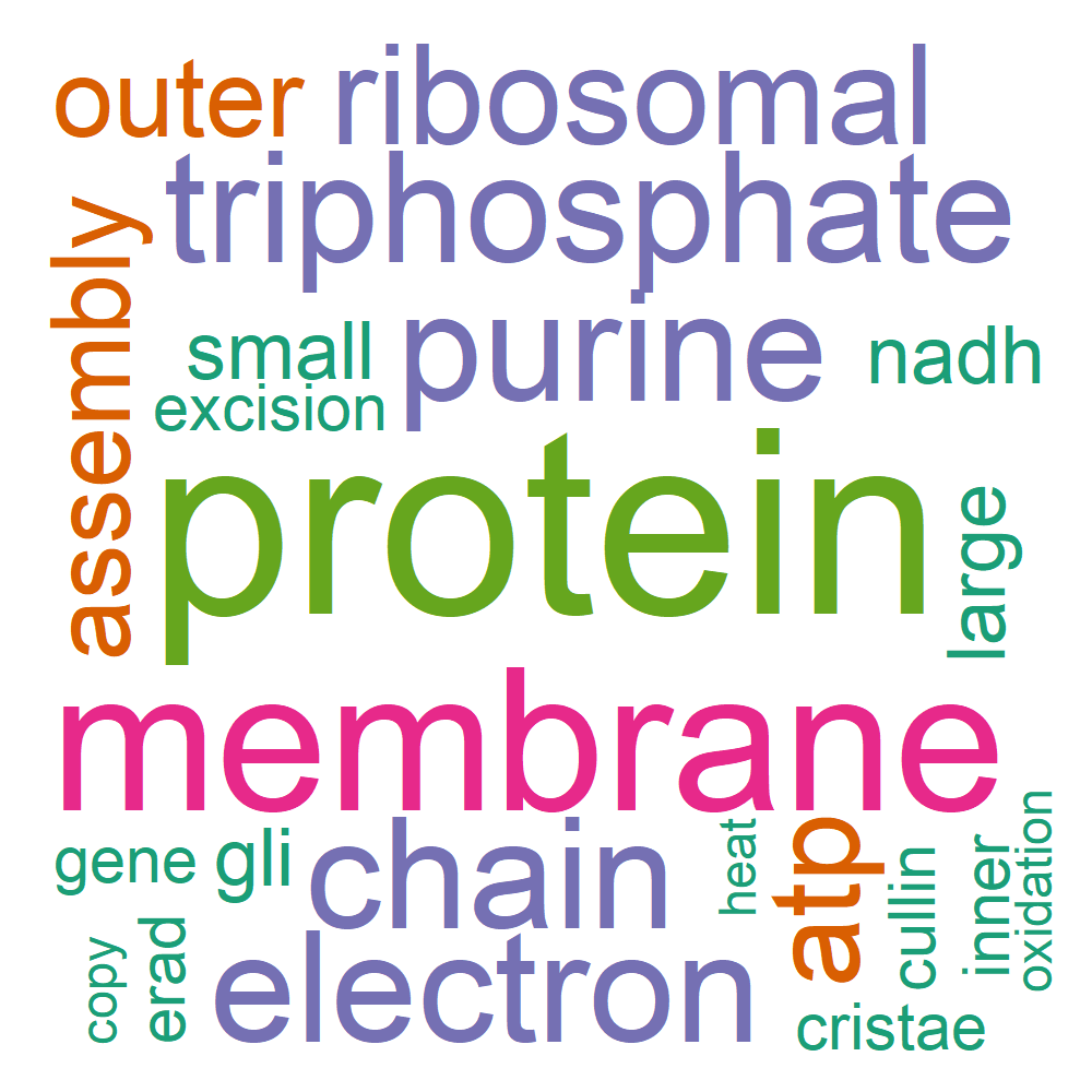 Wordcloud for B_10_2