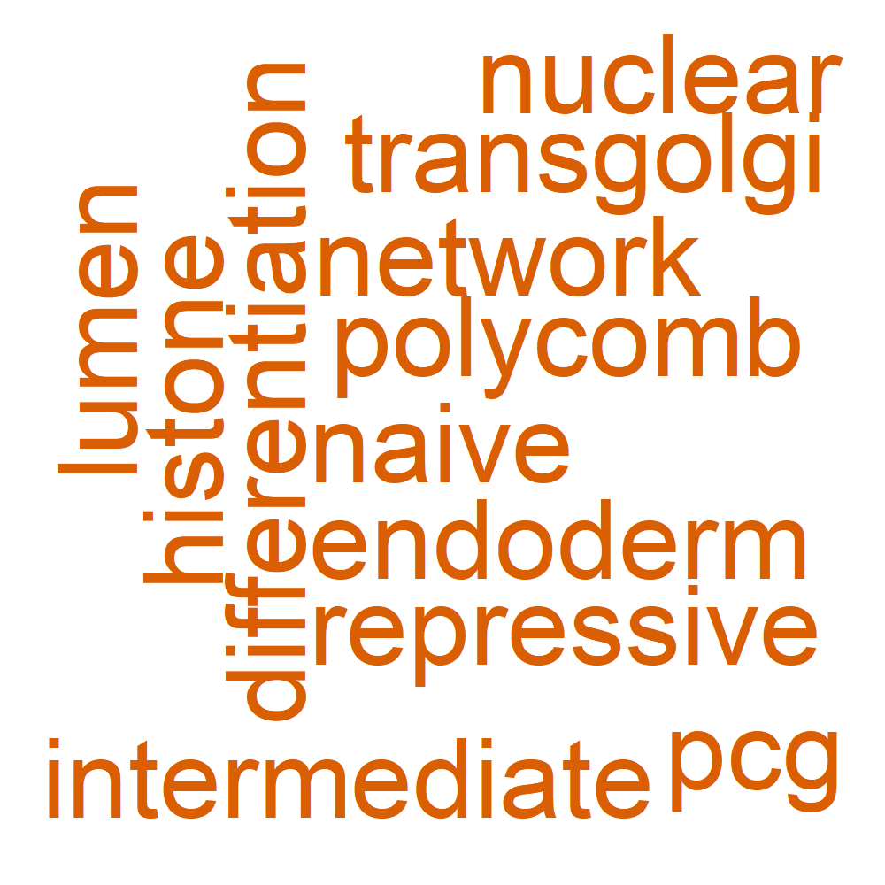 Wordcloud for B_10_3