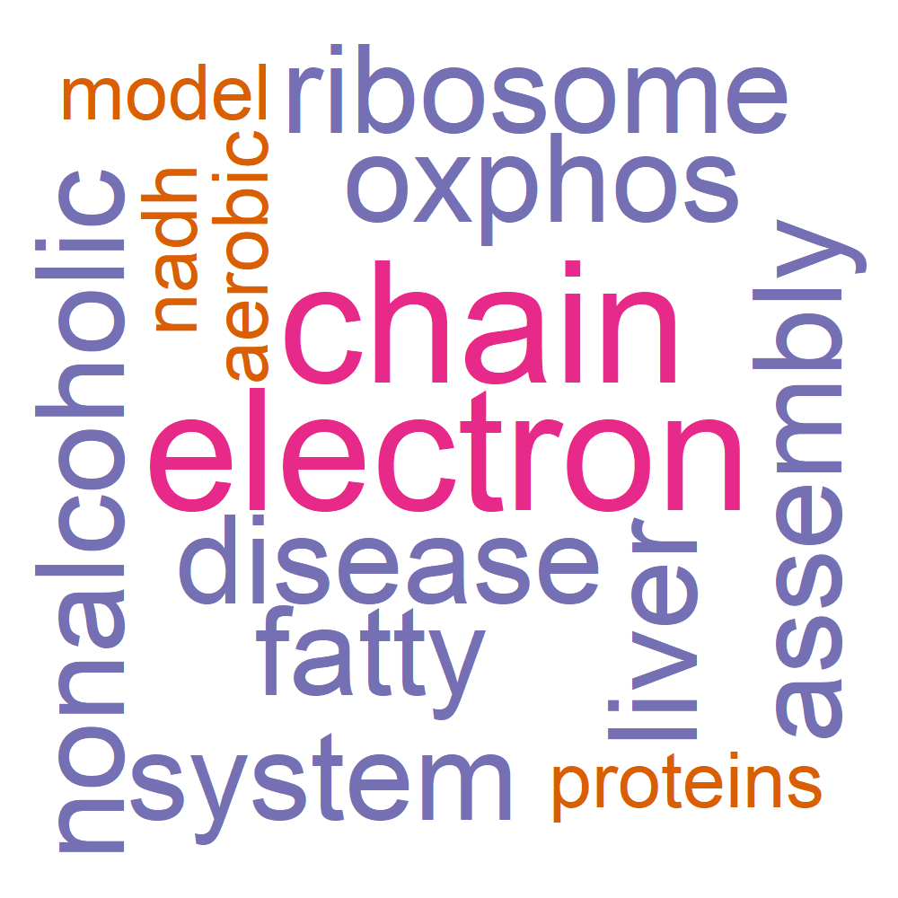 Wordcloud for B_10_5