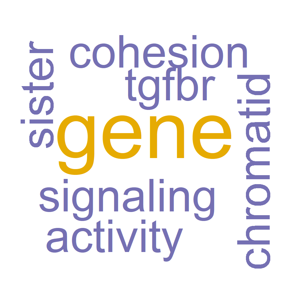 Wordcloud for B_10_6