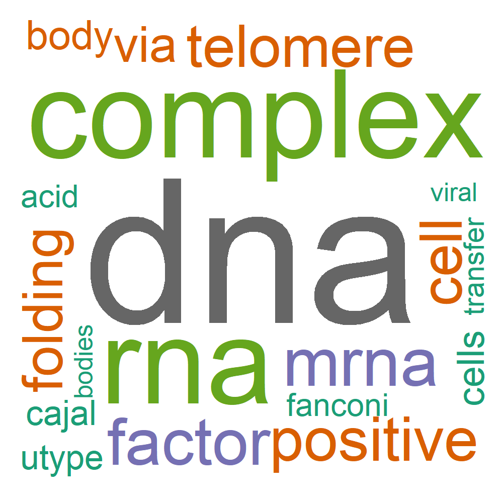 Wordcloud for B_10_7