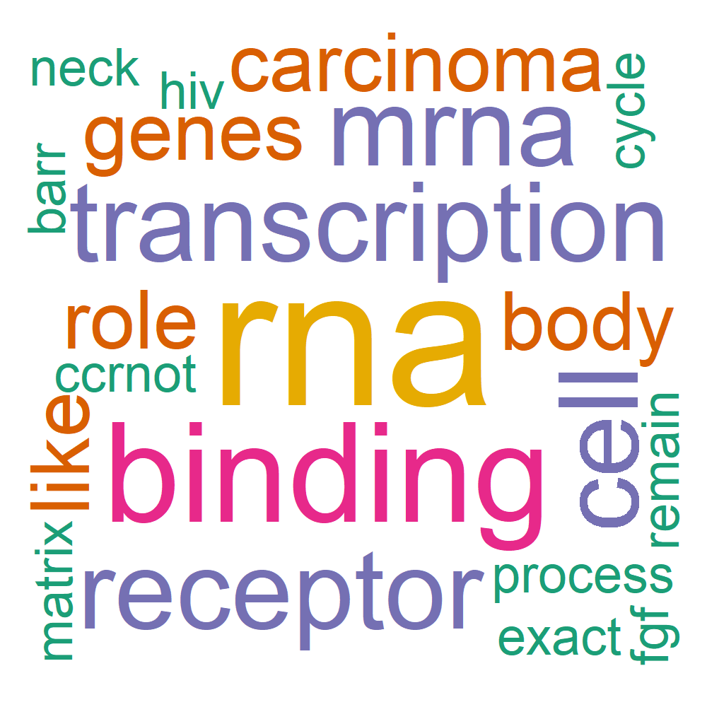 Wordcloud for B_11_1