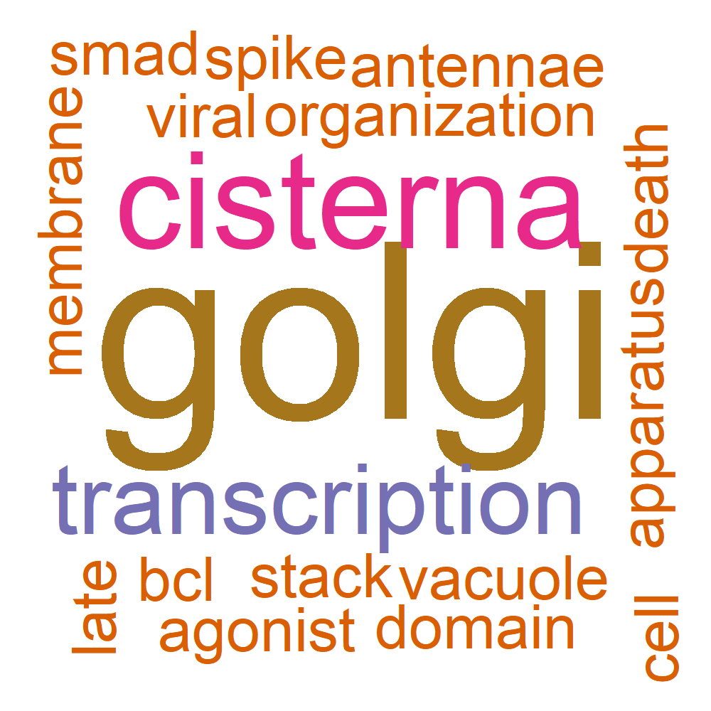 Wordcloud for B_11_10