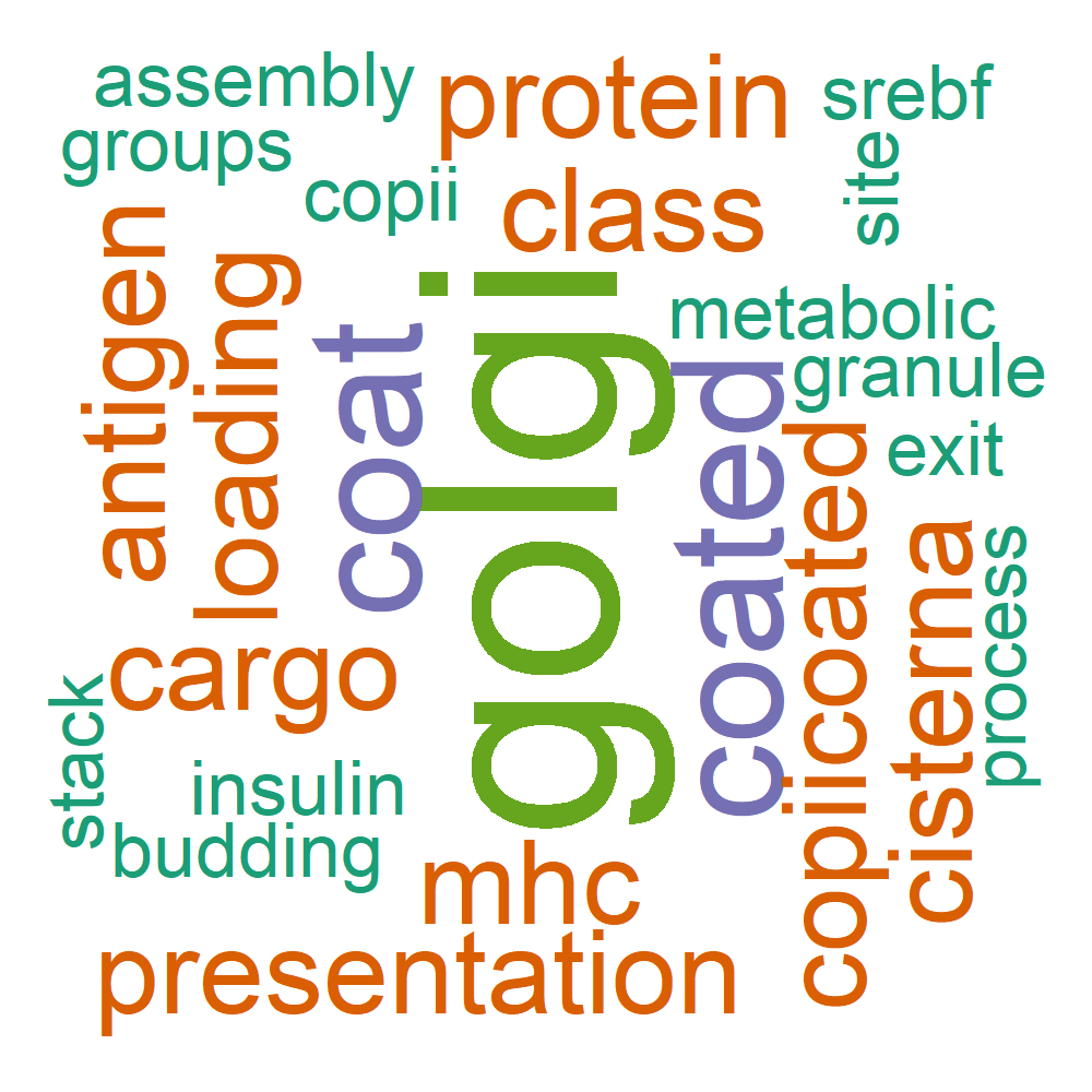 Wordcloud for B_11_13