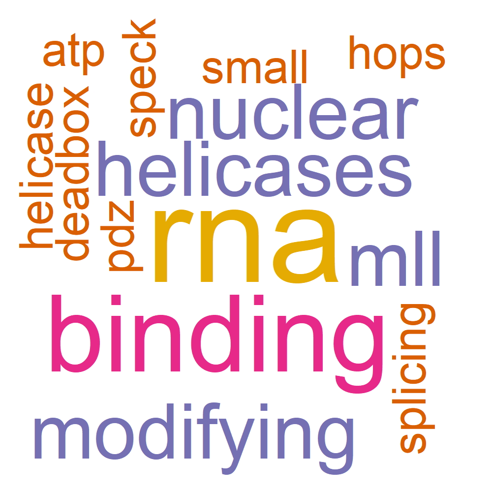 Wordcloud for B_11_2