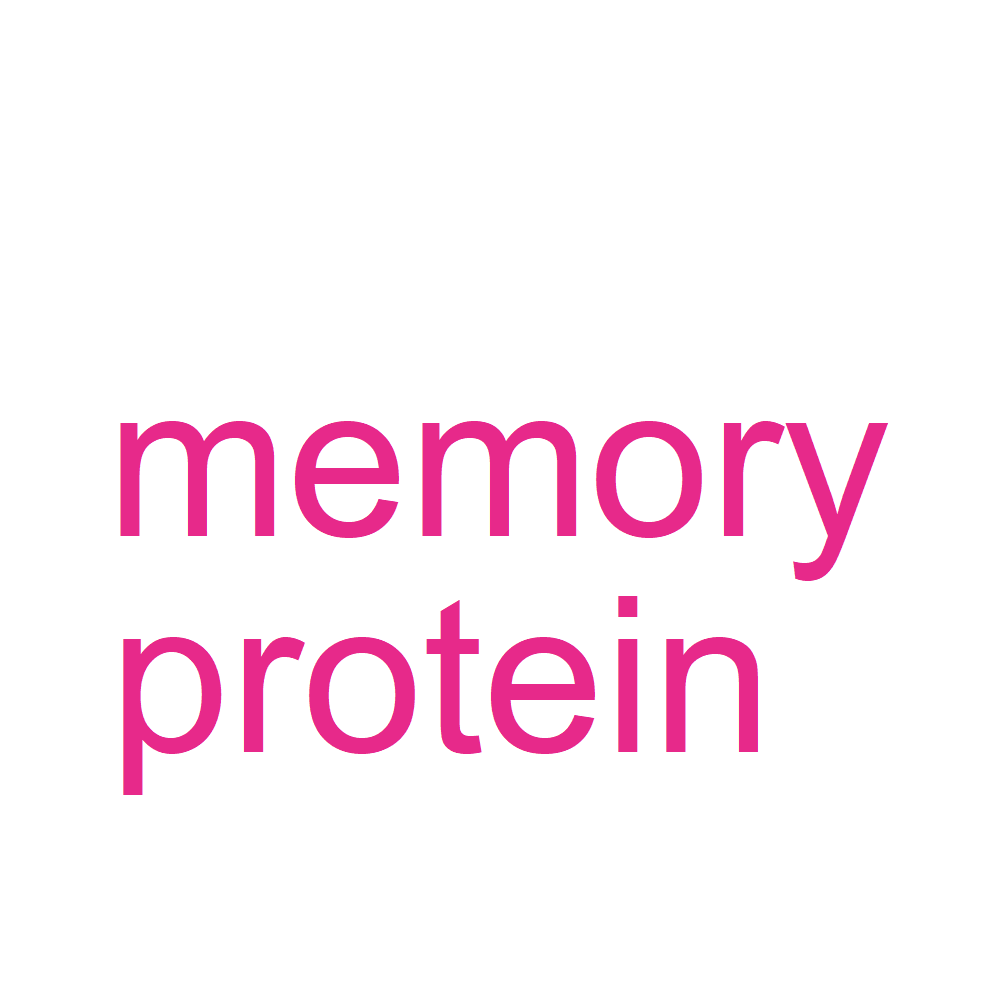 Wordcloud for B_11_3