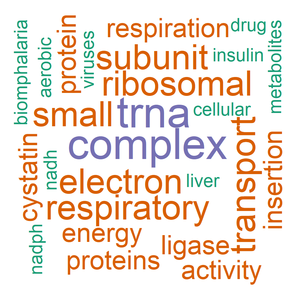 Wordcloud for B_11_4