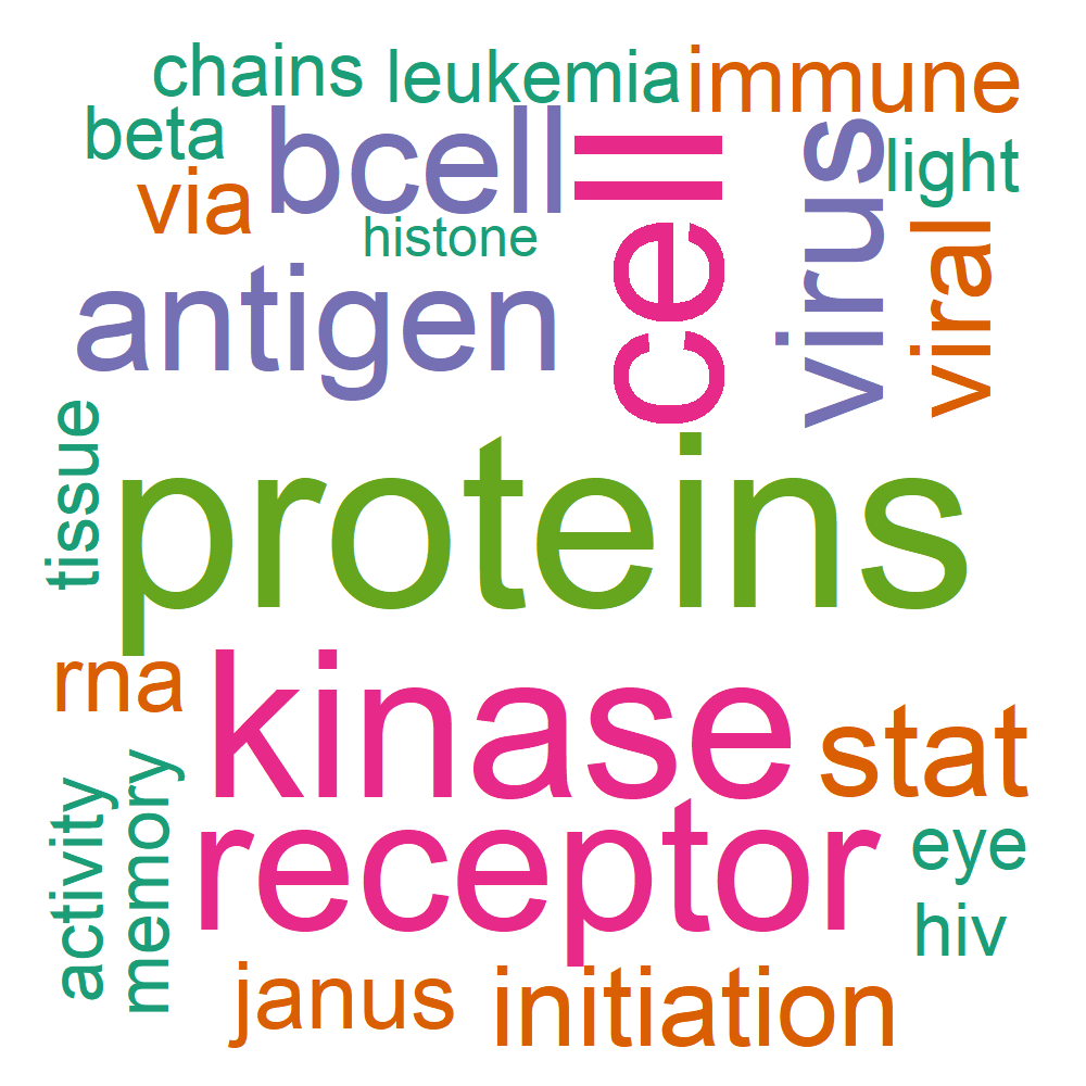 Wordcloud for B_11_5