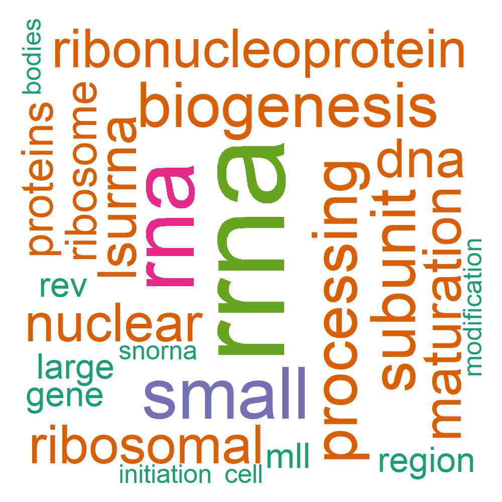 Wordcloud for B_12_13