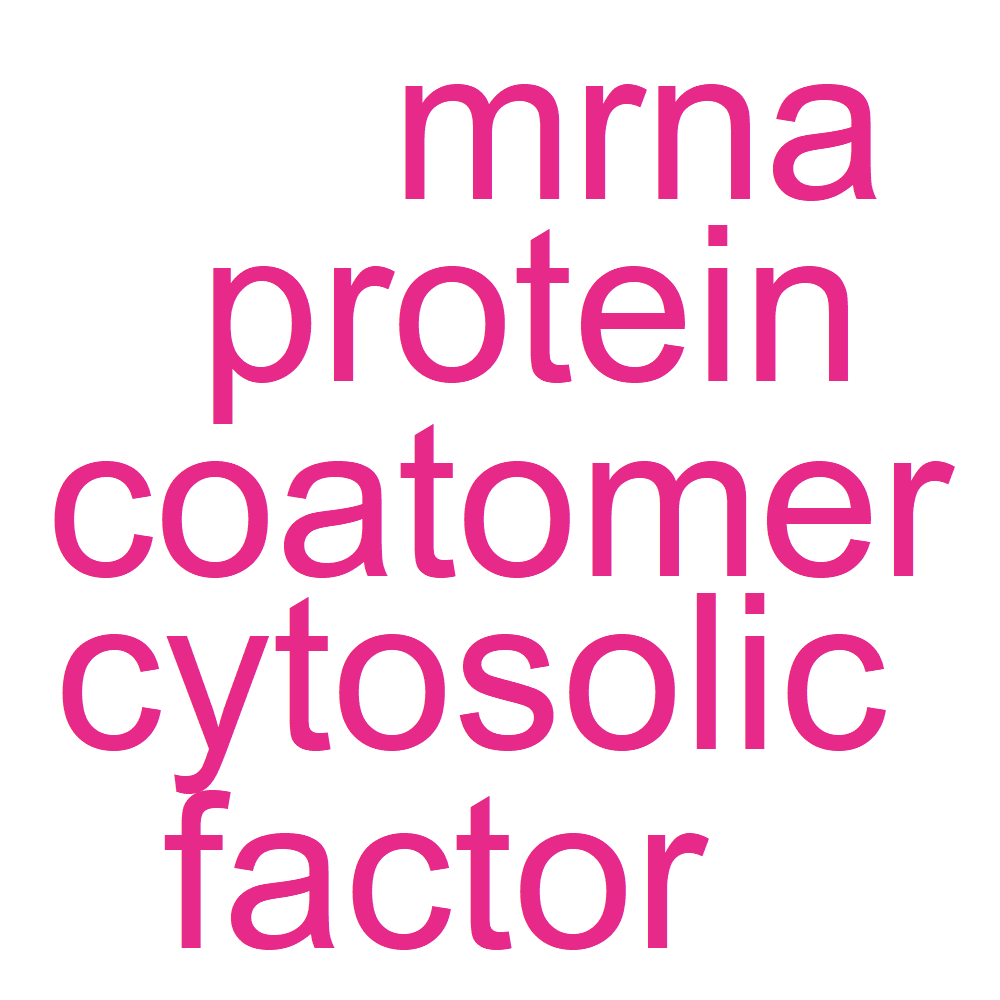 Wordcloud for B_12_14