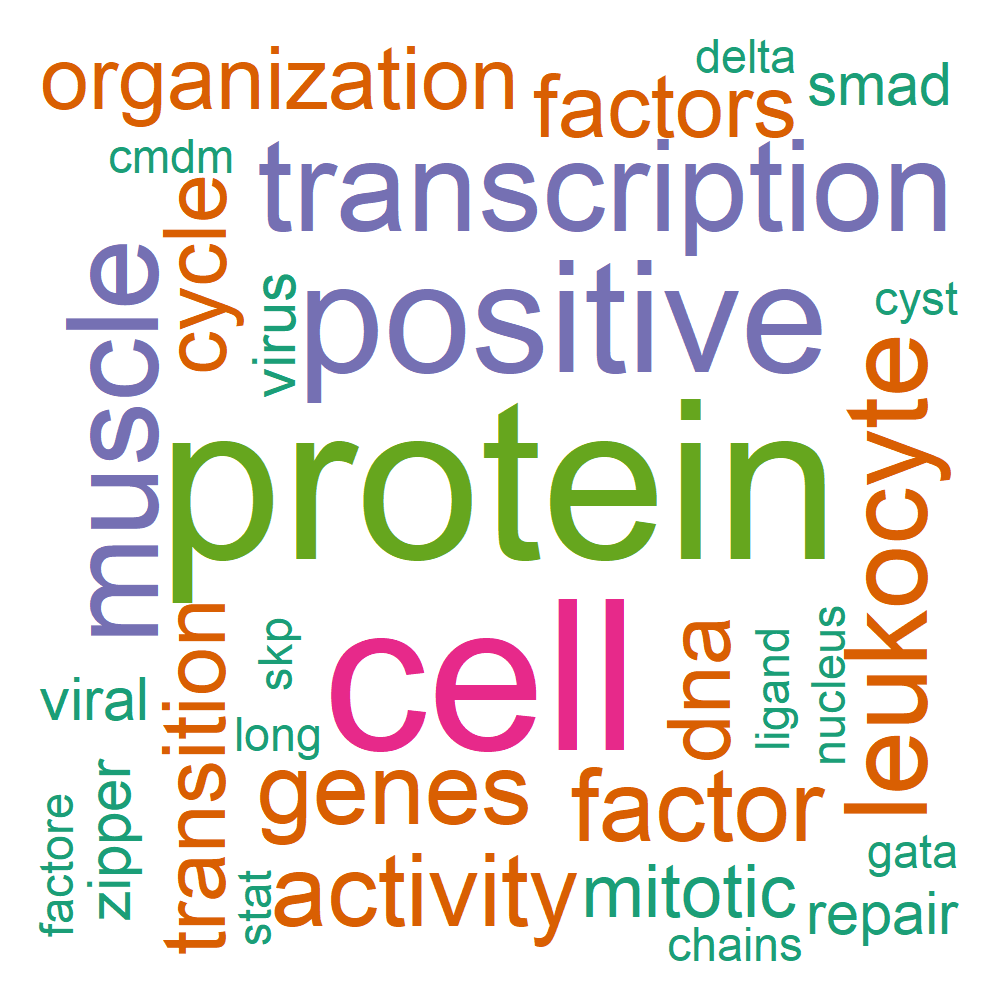 Wordcloud for B_12_2