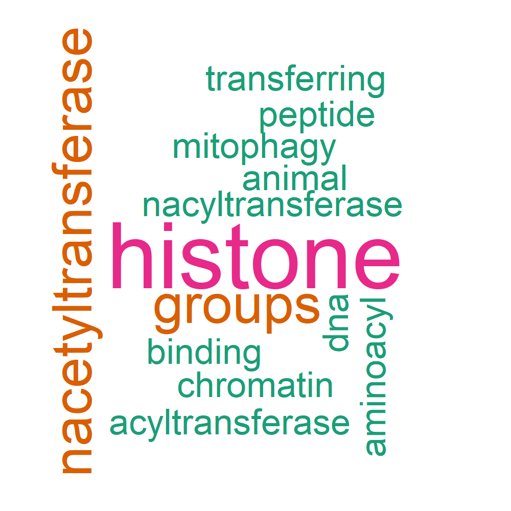 Wordcloud for B_12_20