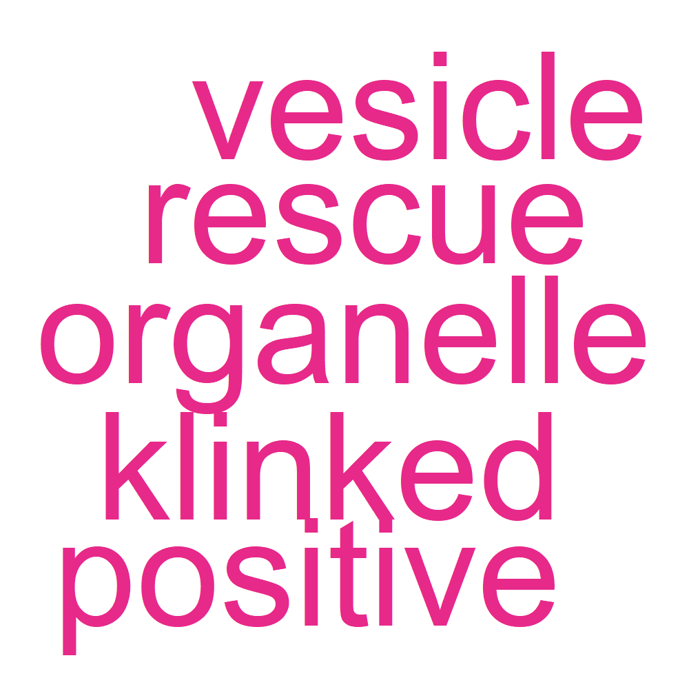 Wordcloud for B_12_4