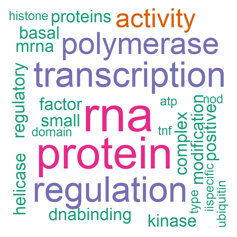 Wordcloud for B_12_6