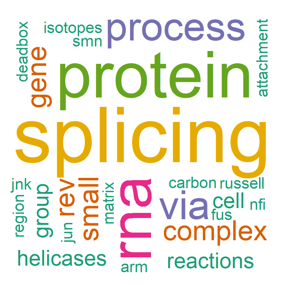 Wordcloud for B_12_7