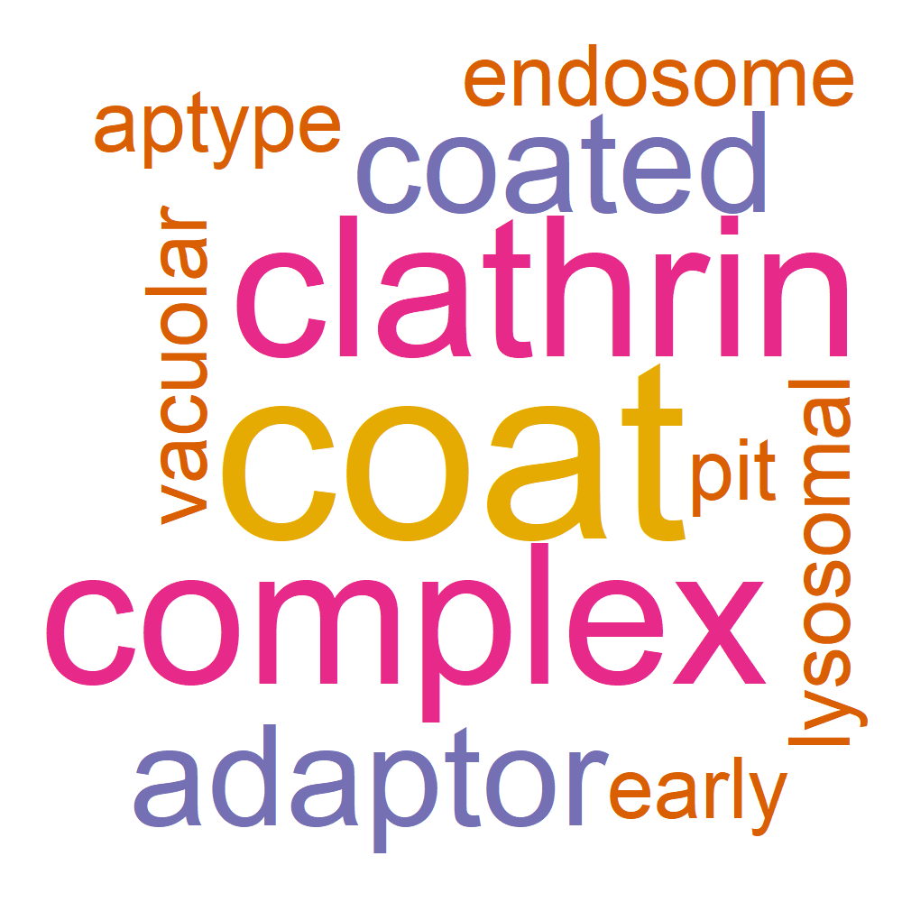 Wordcloud for B_12_9