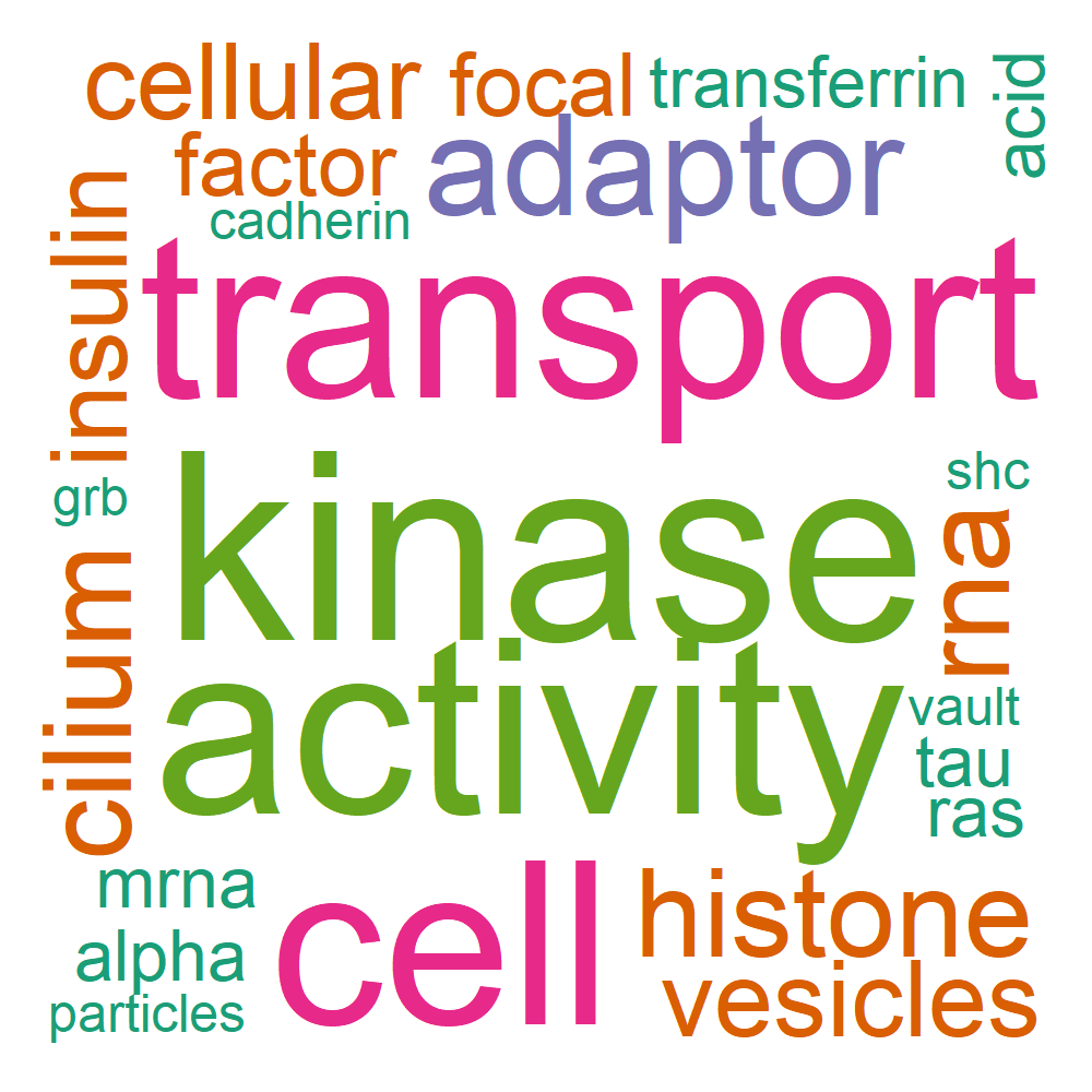 Wordcloud for B_13_10