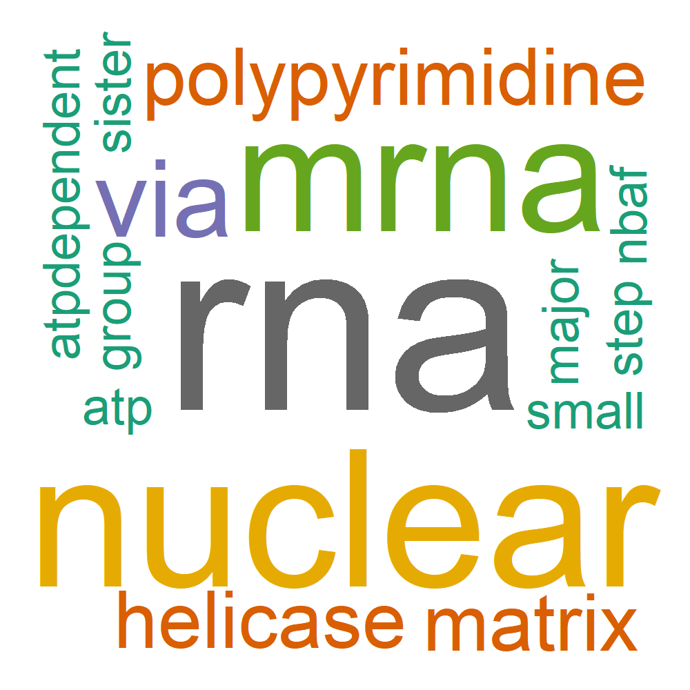 Wordcloud for B_13_11