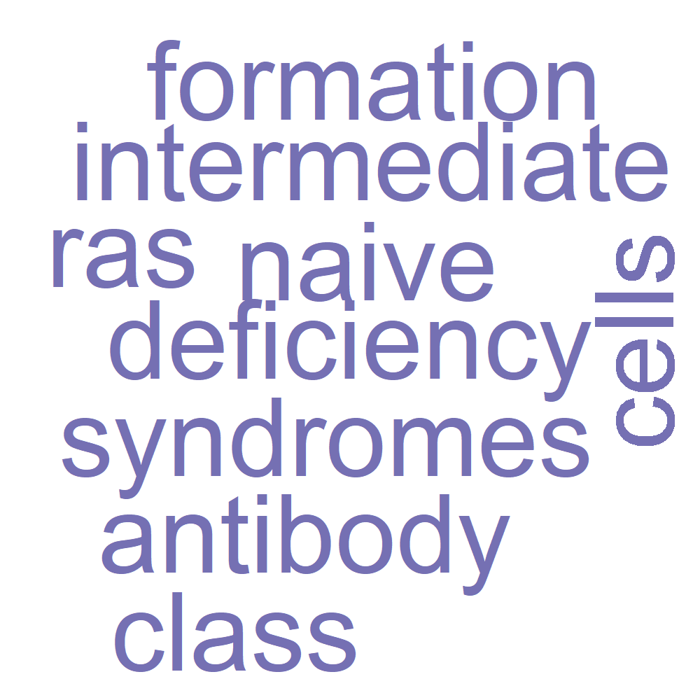 Wordcloud for B_13_13