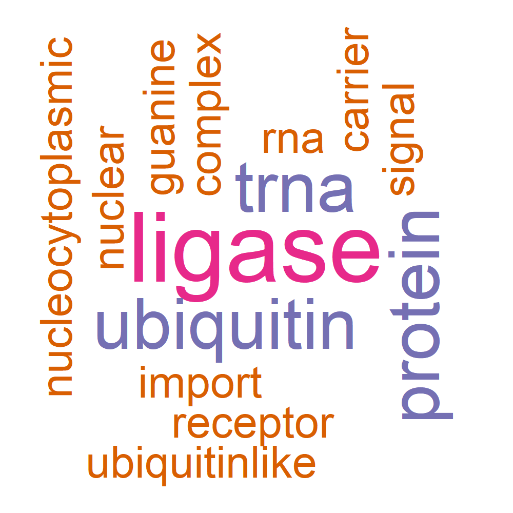 Wordcloud for B_13_17