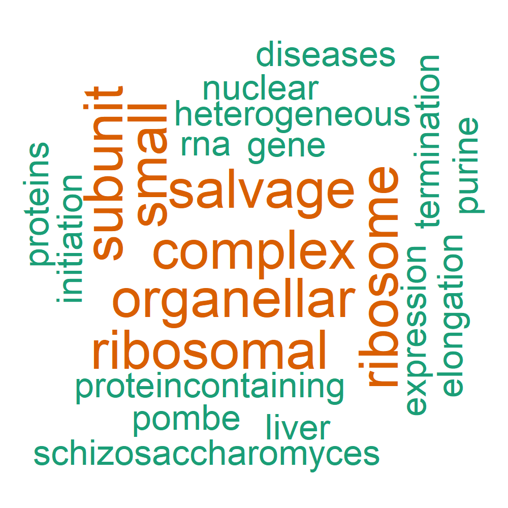 Wordcloud for B_13_18