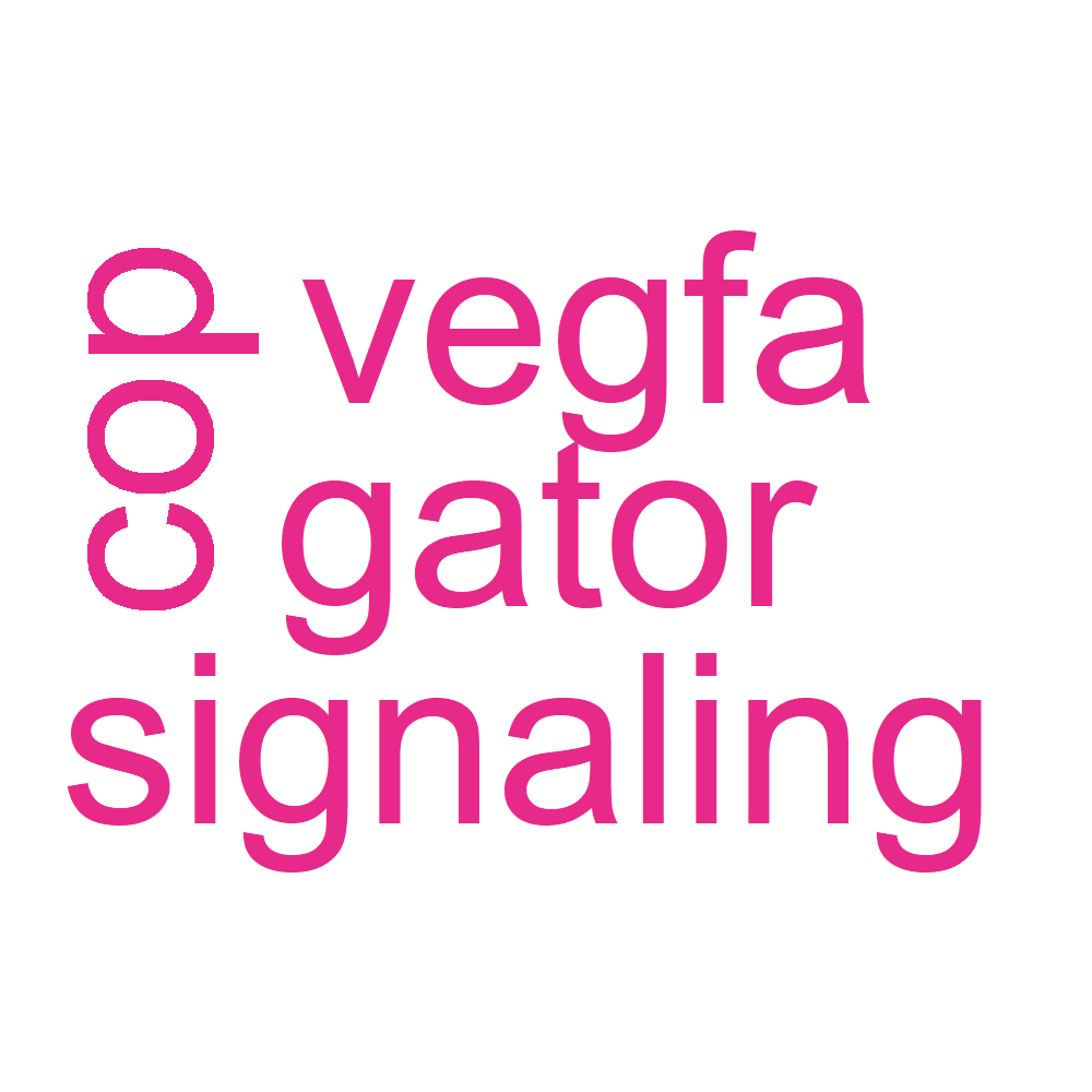 Wordcloud for B_13_2