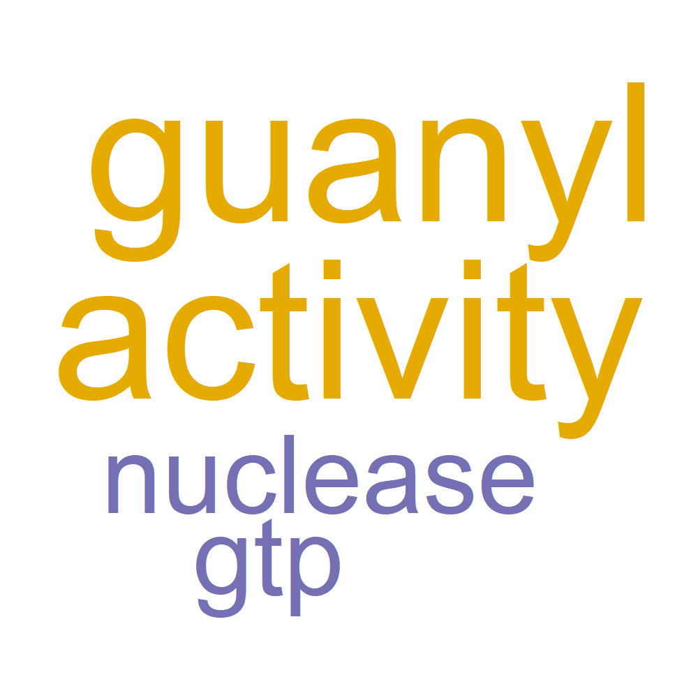 Wordcloud for B_13_22