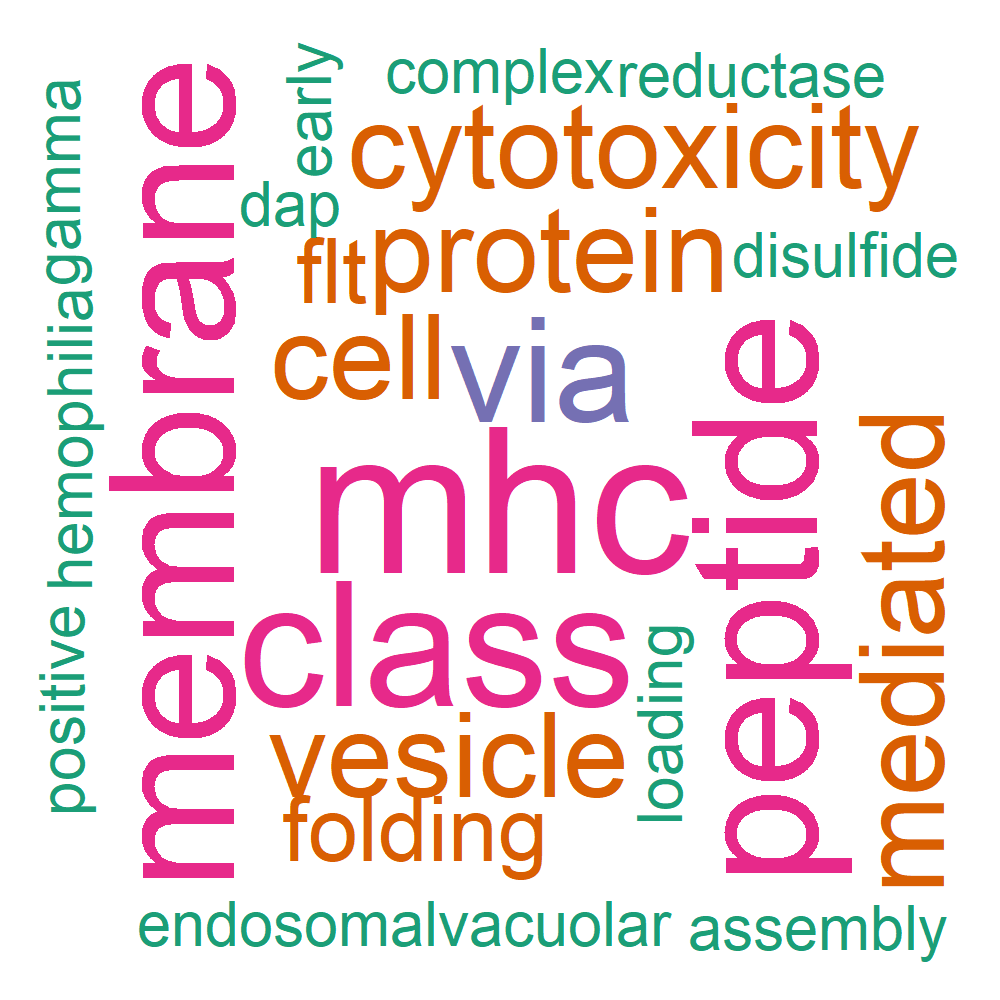 Wordcloud for B_13_23