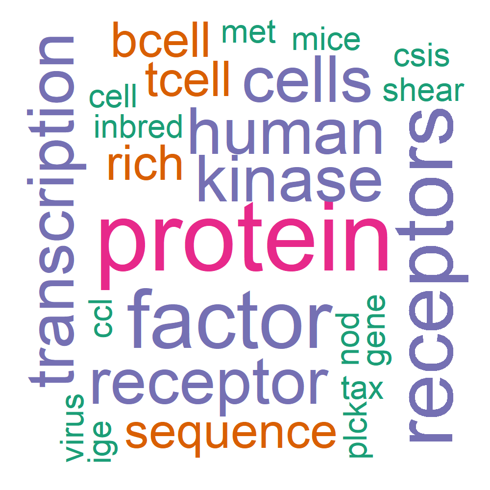 Wordcloud for B_13_26