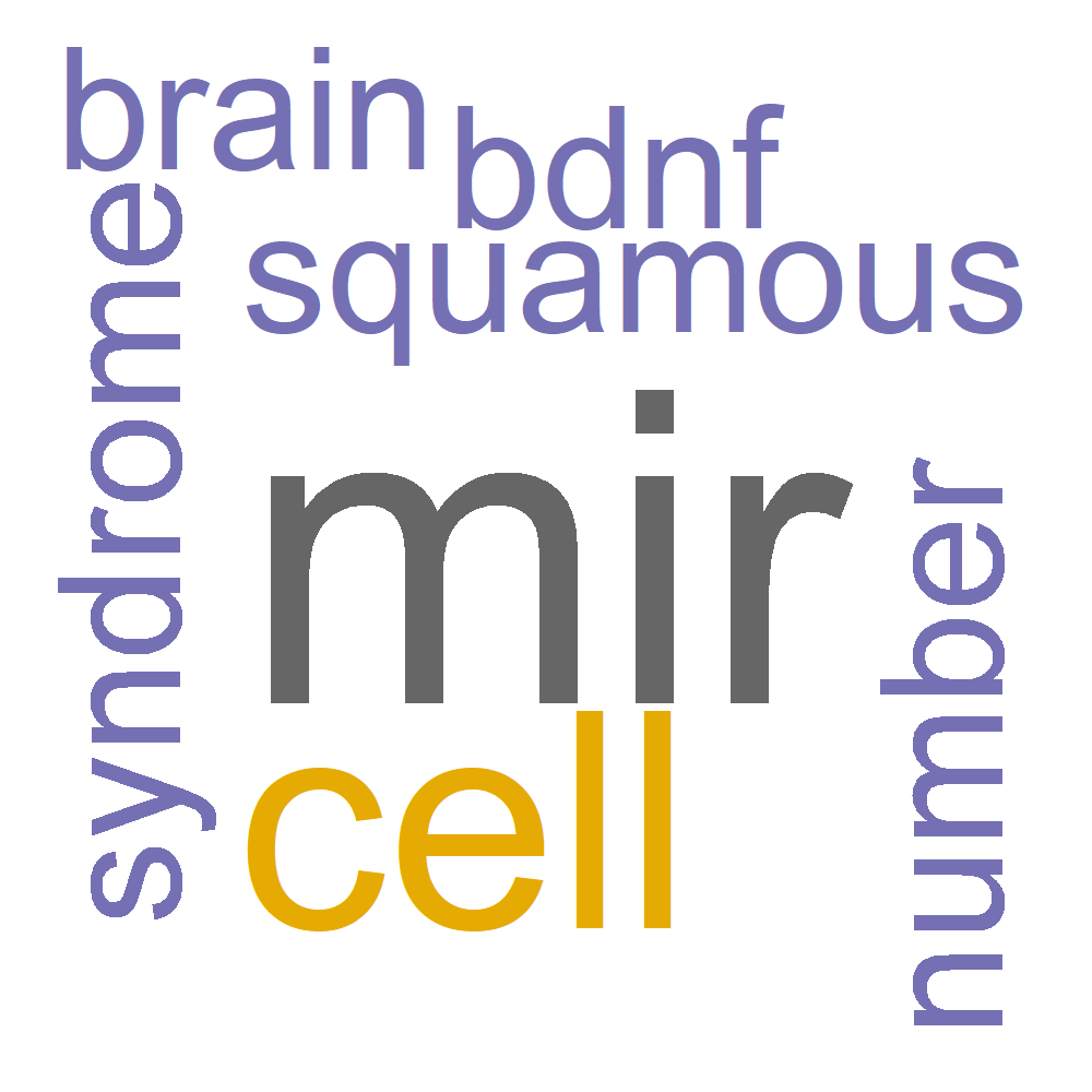 Wordcloud for B_13_27