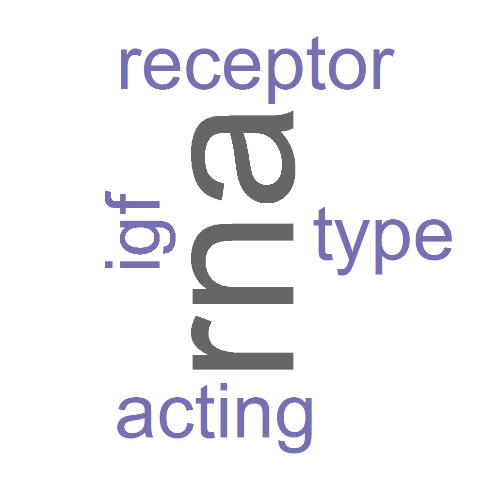 Wordcloud for B_13_28