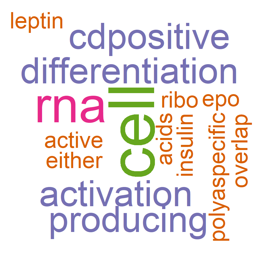 Wordcloud for B_13_31