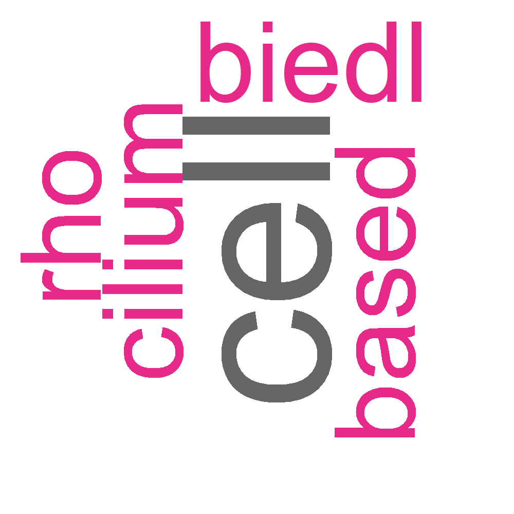 Wordcloud for B_13_32