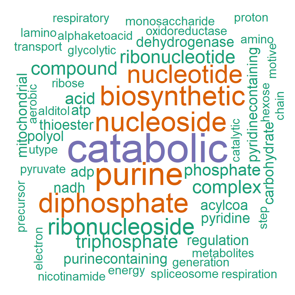 Wordcloud for B_13_33