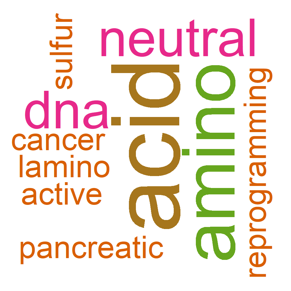 Wordcloud for B_13_35