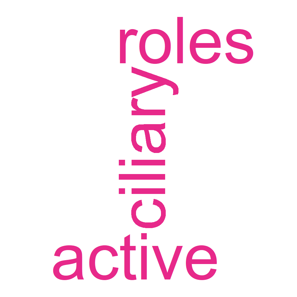 Wordcloud for B_13_37