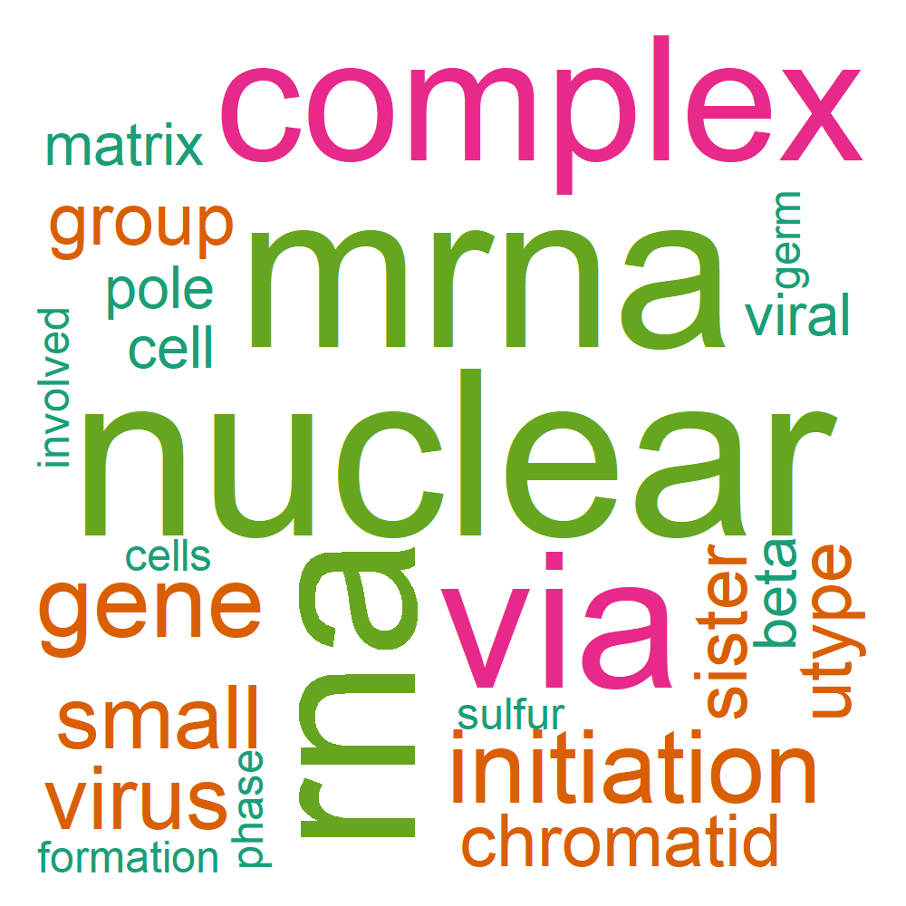 Wordcloud for B_13_5