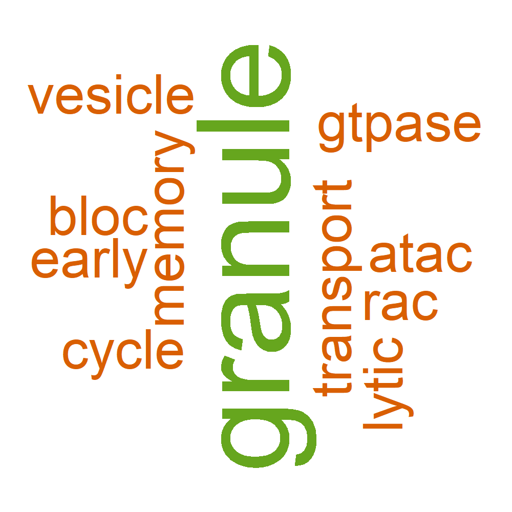 Wordcloud for B_13_6