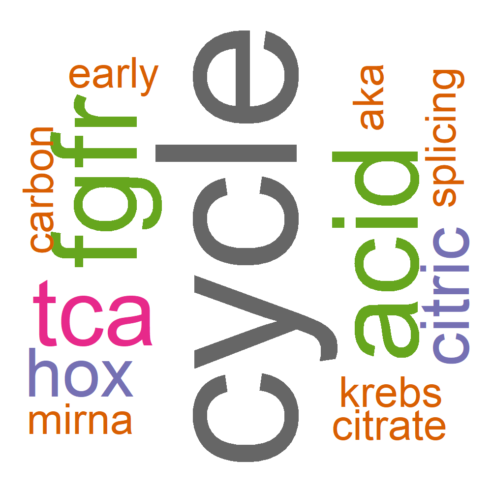 Wordcloud for B_13_9