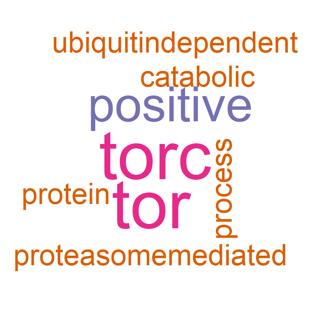 Wordcloud for B_14_1