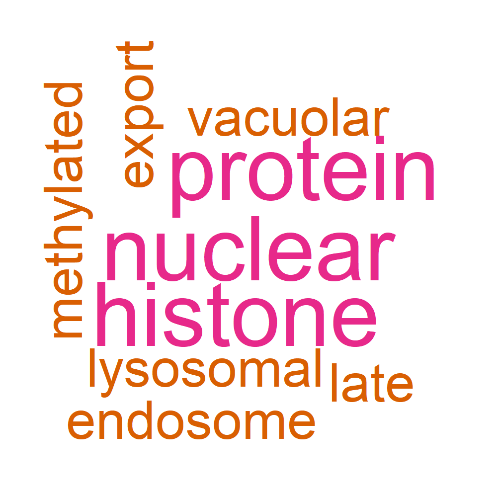 Wordcloud for B_14_12