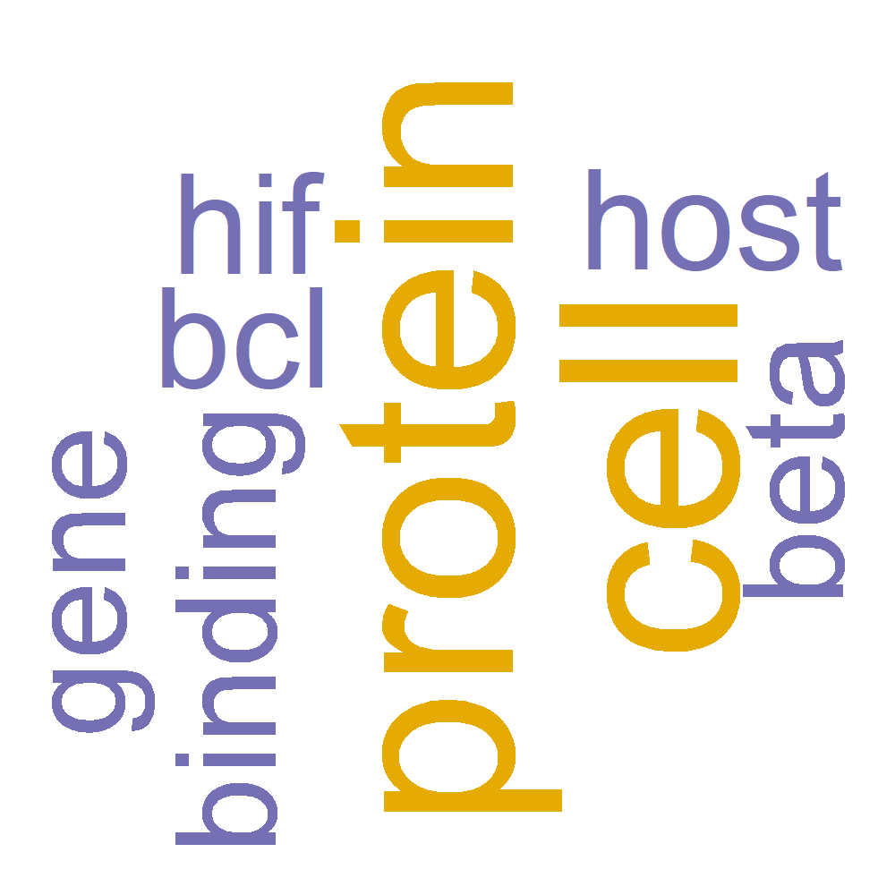Wordcloud for B_14_13