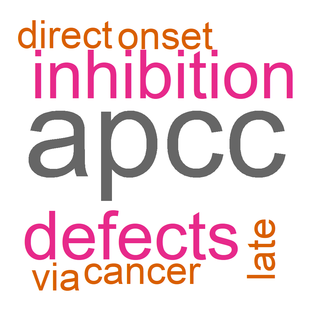 Wordcloud for B_14_19