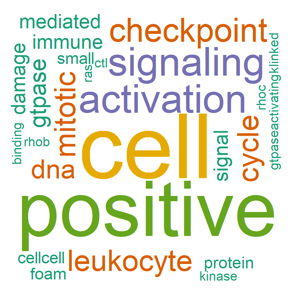 Wordcloud for B_14_23