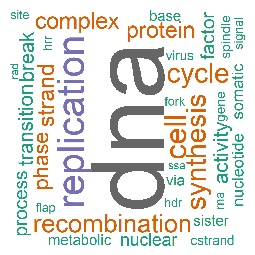 Wordcloud for B_14_24