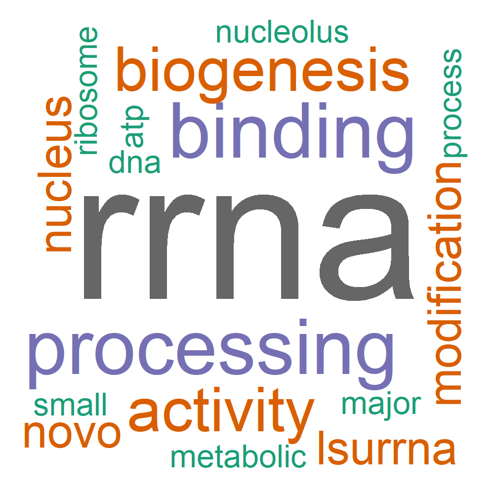 Wordcloud for B_14_30